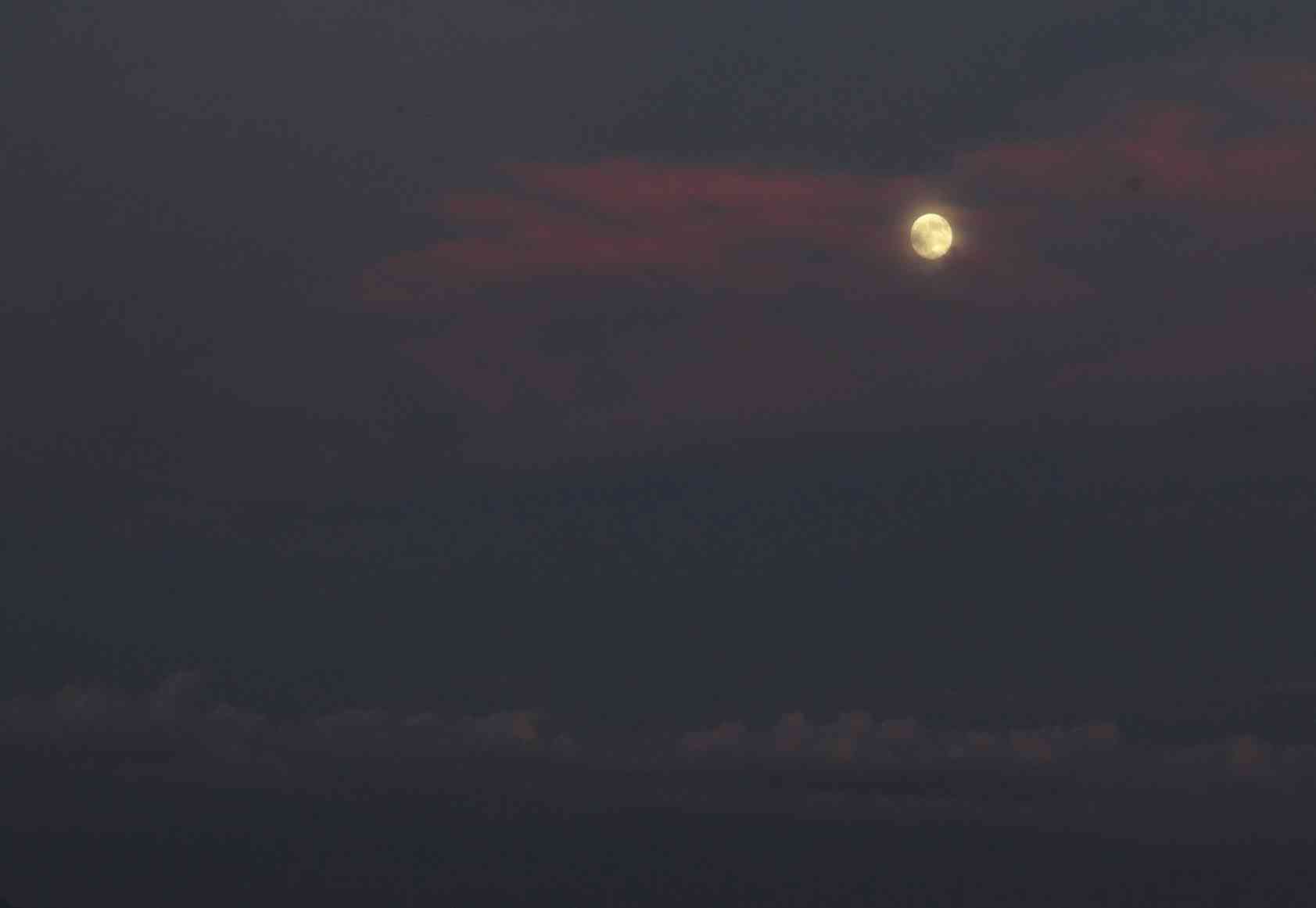 無題のドキュメント (1)_page-0001